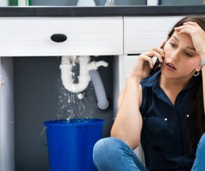 About Emergency plumbing pros Gulf Hammock, FL